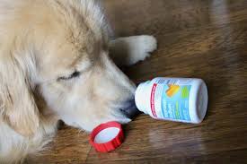Ibuprofen, paracetamol and aspirin are all effective painkillers. Is Ibuprofen Toxic To Dogs Medvet