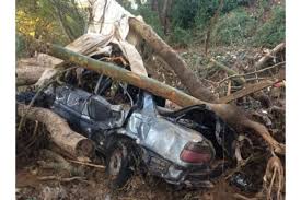 Check spelling or type a new query. Sok Sto Rema Ths Xelidonoys Opoy Pnighke 61xronos Ellada Eidhseis