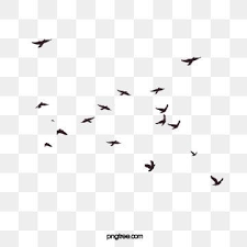 Kreative Fliegende Vogel Silhouette Illustration Abstrakt Vogel Silhouette Png Und Vektor Zum Kostenlosen Download Flying Bird Silhouette Birds Flying Flock Of Birds