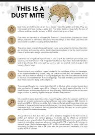 Add Ductcleaning To Your Springcleaning For Healthyliving In Your Healthyhome Dustmite Mold Cleaning Duct Cleaning Clean Air Ducts Dust Mites
