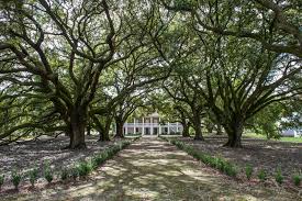 Built in 1750, it is a classic example of a large french colonial plantation house in the united states. Inside America S Auschwitz History Smithsonian Magazine