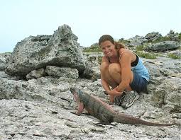 Image result for Rhynchosia torrei