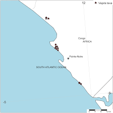 Image result for Thomandersia butayei