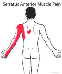 Pin On Health And Fitness