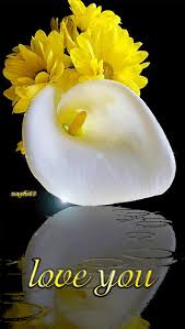 All animated flowers pictures are absolutely free and can be linked directly, downloaded or.all animated flowers gifs and flowers images in this category are 100% free and there are no charges attached to using them. Flowers For You Gif Download Share On Phoneky