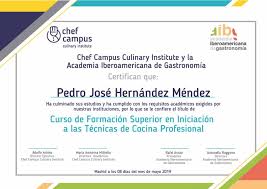 Nuevo curso de cocinero profesional alta cocina. Chef Campus Espana Instituto Gastronomico Internacional
