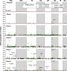 Full video viral banglades video botol viral di tiktok. Influenza Viruses In Mice Deep Sequencing Analysis Of Serial Passage And Effects Of Sialic Acid Structural Variation Biorxiv