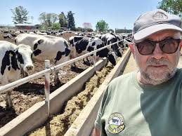 Daniel Ferrero apostó a escalar y mejorar la productividad del tambo que  armó su abuelo, y logró llegar a los 40 litros por vaca: Aún así reconoce  tener números en rojo |