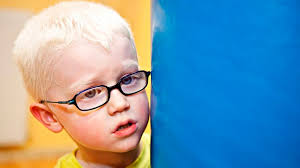 Investigación: Últimas noticias en THE OBJECTIVE