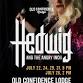 HEDWIG AND THE ANGRY INCH - Summer 2026