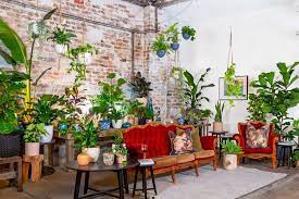 The Top 10 Indoor Plant Influencers In The World Indoor Plants Plants Popular House Plants