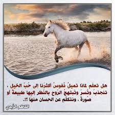حب الخيل في علم النفس