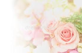 Maybe you would like to learn more about one of these? Beautiful Flower Background Wallpaper Made With Color Filters Stock Photo Image Of Copy Colour 94163706