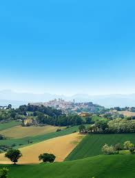Paesaggio di inverno degli alberi bianchi gelidi nella. Foto Del Paesaggio Collinare Di Filottrano Il Cielo Azzurro Di Una Giornata Soleggiata Incornicia Il Paese In Lontananza Circondato Dal Verde Italia