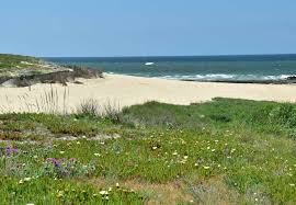 Are you a crew member? Strande In Porto Der Beste Strand In Porto