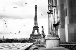 Black And White Photography For Sale Buy Original Art Online