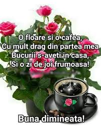 O floare si un gand bun pentru voi! Poze Pentru O Zi Minunata