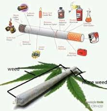 Cannabis Rauchen Ohne Tabak Guffel Com