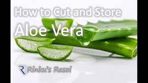 Place pulsed aloe into a bowl, add the honey and mix with a spoon until both are evenly dispersed. How To Cut And Store Aloe Vera Rinkusrasoi Youtube