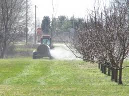 Warmth and frequent rainfall in livermore, ca, combine to create a humid climate perfect for pests. Early Season Tree Fruit Pest Control In 2018 Plant Pest Advisory