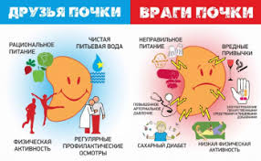 Диагностицира и лекува пациенти с бъбречни заболявания, бъбречна недостатъчност, камъни в бъбреците и инфекции на долните пикочни пътища, имунни. 27 Marta Den Nefrologa
