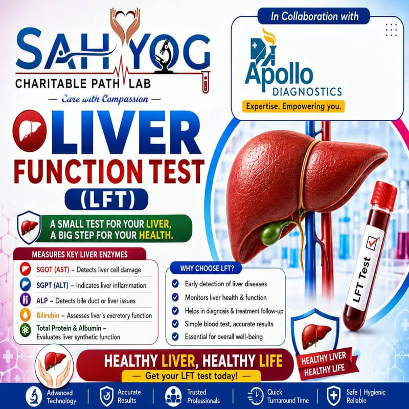LFT (Liver Function Test)