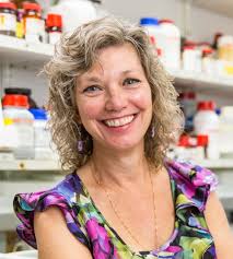 UT Southwestern Researchers Use AI to Detect New Family of Genes in Gut  Bacteria