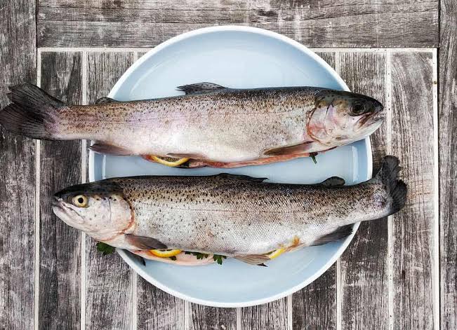 Safe Fish To Eat: What to Buy, What to Avoid at the Grocery Store