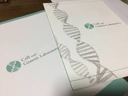 着 床 前 診断 産み 分け ブログ