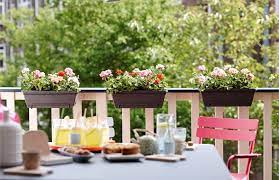 Window boxes and balcony pots. 10 Easy Pieces Black Balcony Box Planters Gardenista