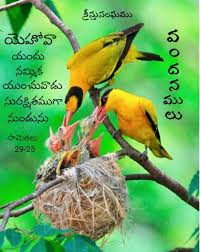 Pictures Of Birds With Their Nests And Names Pin On Telugu Bible Verses