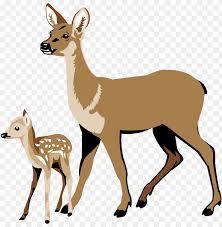 Fawn Pencil And In Color White Tailed Deer Clipart Png Image With Transparent Background Toppng Want to discover art related to transparent? fawn pencil and in color white tailed