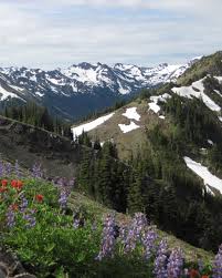 The pacific coastline, alpine areas, west side temperate rainforest, and east side temperate rainforest. Nps Geodiversity Atlas Olympic National Park Washington U S National Park Service