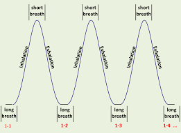 Image result for Single Breath Counting