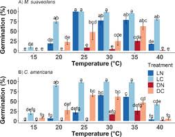 Image result for Cantinoa americana