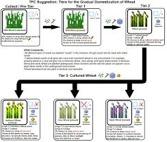 wheat domestication flow chart suggestions