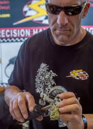 High Times Cannabis Cup gives Wine Country different weekend buzz