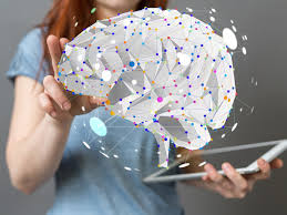 Ce test de qi contient tous les composants communs à la plupart des tests de qi standard. Pourquoi Un Test De La Precocite Intellectuelle De L Enfant