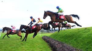 Design of specific inhibitors of groupii phospholipase a2(pla2): Irishracing Com News Tg4 To Screen Punchestown Preview Over The Weekend