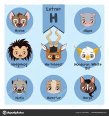 Animal Portrait Alphabet Letter H Stock Vector C Agnessz 165133444