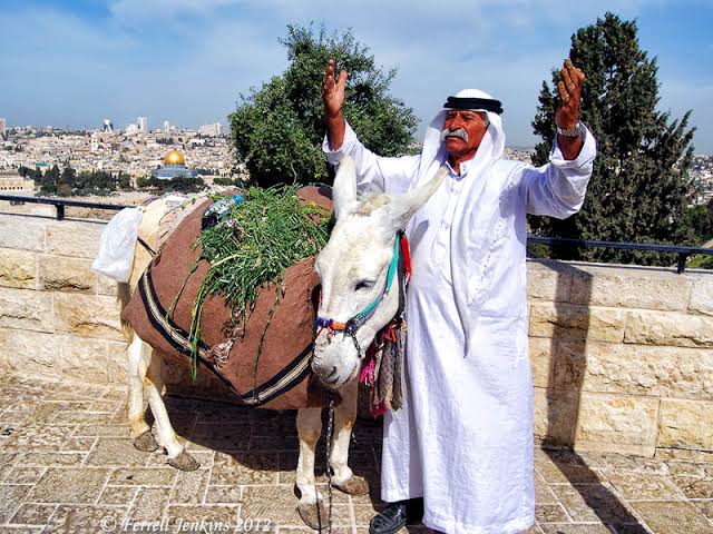 Mga resulta ng larawan para sa Jerusalem Syndrome (mount Olives, Jerusalem"