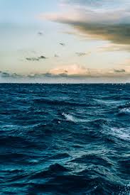 Image result for sea