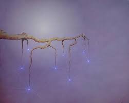 Image result for phil rushton comics