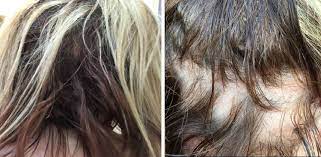 This lightweight styling solution is designed to help take the frizz out of hair and give you more moisture, shine and body. Wen Hair Care Lawsuit See Photos Of Hair Loss People Com