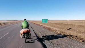 Vue satellite en temps réel. La Terre Vue D Une Selle Home Facebook