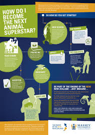 So You Wanna Be An Animal Superstar Or You Know A Vet Flow Chart Infographic School Tops