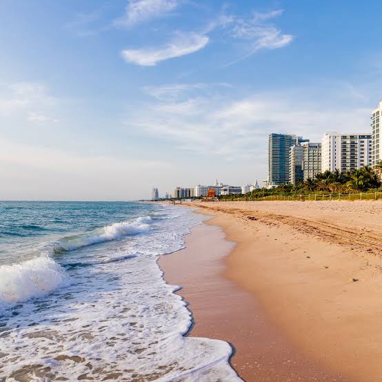 18 Best Beaches in Miami for Spring Breakers, Nature Enthusiasts, Dog  Lovers, and More | Condé Nast Traveler