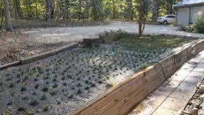 We did not find results for: Planting Dwarf Mondo Grass With Video Proplugger