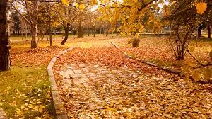 We did not find results for: Sonbahar Definisi Sonbahar Dalam Kamus Turki