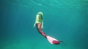 A mermaid's tail is the third episode of season 1. Mermaiding And Mermaid Tails Elite Havens Magazine